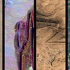 Photograph of Khizar