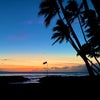 Photograph of Auli'i
