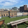 Photo 3: rooftop