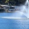 Photo 8: Lake fountain