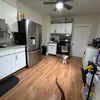 Photo 4: Kitchen from patio door