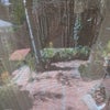 Photo 3: Bedroom view