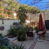 Photo 7: Garden/patio