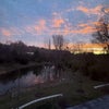 Photo 5: The view from the room