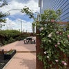 Photo 2: Garden