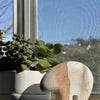 Photo 8: Happy hunting from this room's windowsill :)