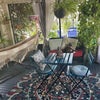 Photo 5: Patio