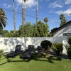 Photo 2: back yard 