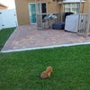 Photo 9: Fenced in Backyard