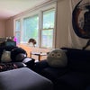 Photo 7: Shared Living room