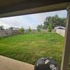 Photo 8: Backyard