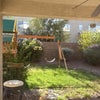 Photo 7: Back yard 
