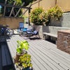Photo 7: Patio outside