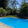 Photo 8: Pool area