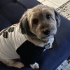 Photo 8: Oliver