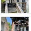 Photo 2: Backyard