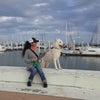 Photo 2: Dog not included