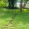 Photo 7: BACKYARD