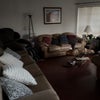 Photo 4: Front room 