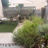 Photo 3: Small yard 
