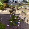 Photo 3: Front Garden