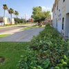 Photo 9: 1/2 block from UTRGV