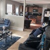 Photo 6: Living room and kitchen area