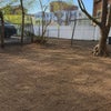 Photo 7: Shared backyard