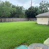 Photo 5: June 2026, Back yard 110' x 80', beautiful grass this year.