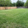 Photo 6: March 2025, New fence, grass in late winter