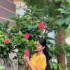 Photograph of Neha