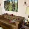 Photo 2: Living room gay art