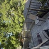 Photo 6: back deck