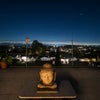 Photo 5: Backyard view