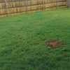Photo 2: Backyard