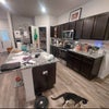 Photo 8: Kitchen