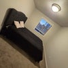 Photo 4: Furnished bedroom-with TV