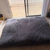 Photo 4: Large Bean Bag Bed available 
