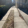 Photo 9: front/driveway