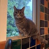 Photo 4: Nounou, my very sweet baby girl