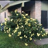 Photo 3: Front porch