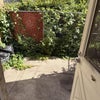 Photo 5: Shared Backyard Area