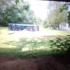 Photo 2: Back Yard