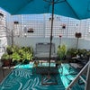 Photo 9: Upstairs patio