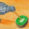Photograph of Kiwi