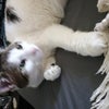 Photograph of Pinky