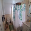Photo 3: Full Bath