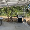 Photo 9: Backyard