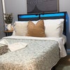 Photo 7: Room 1 - Larger Bedroom