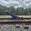 Photo 4: Calisthenics 